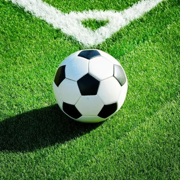 华体会体育VIP官网