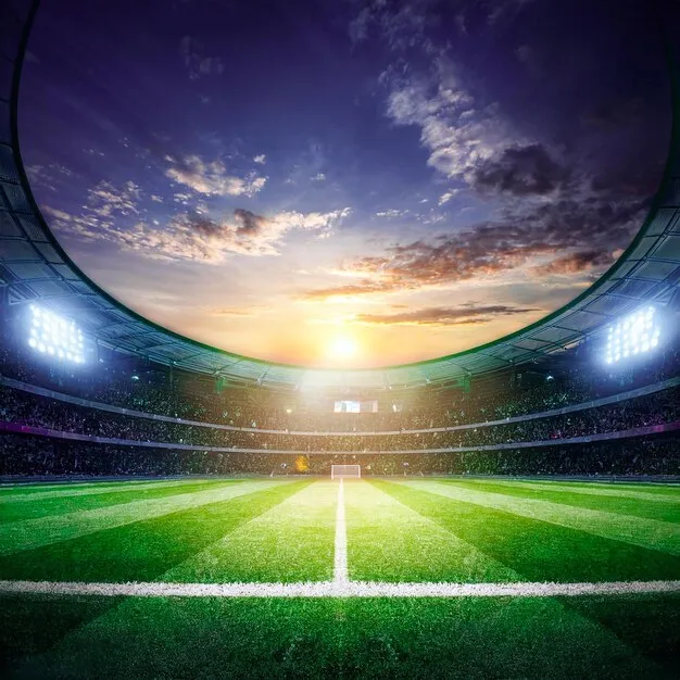 应用下载与尊享服务